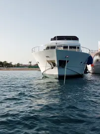 Boat "Haya" 149